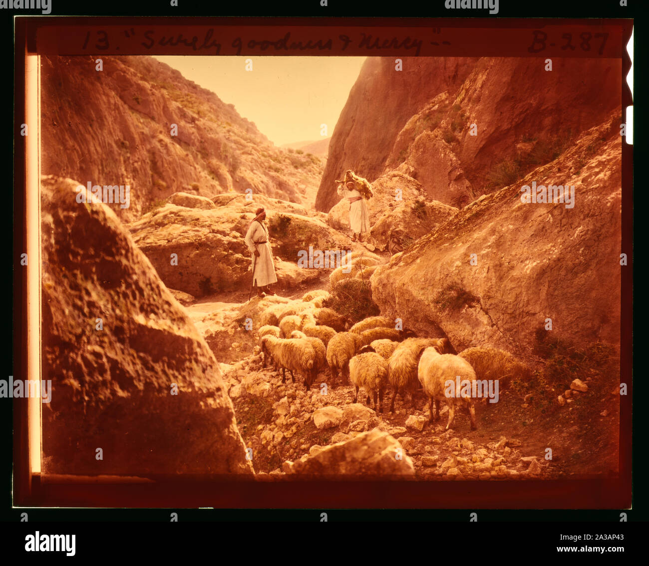 Serie di tredici selezionare diapositive di pastore la vita che illustra la XXIII Salmo. Sicuramente la bontà e la misericordia Foto Stock