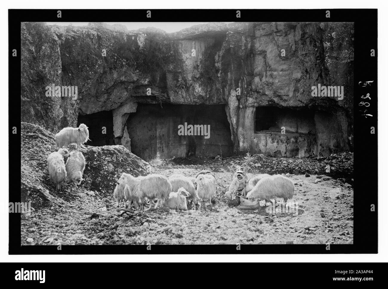 Serie di tredici selezionare diapositive di pastore la vita che illustra la XXIII Salmo. Offri un tavolo prima di me Foto Stock