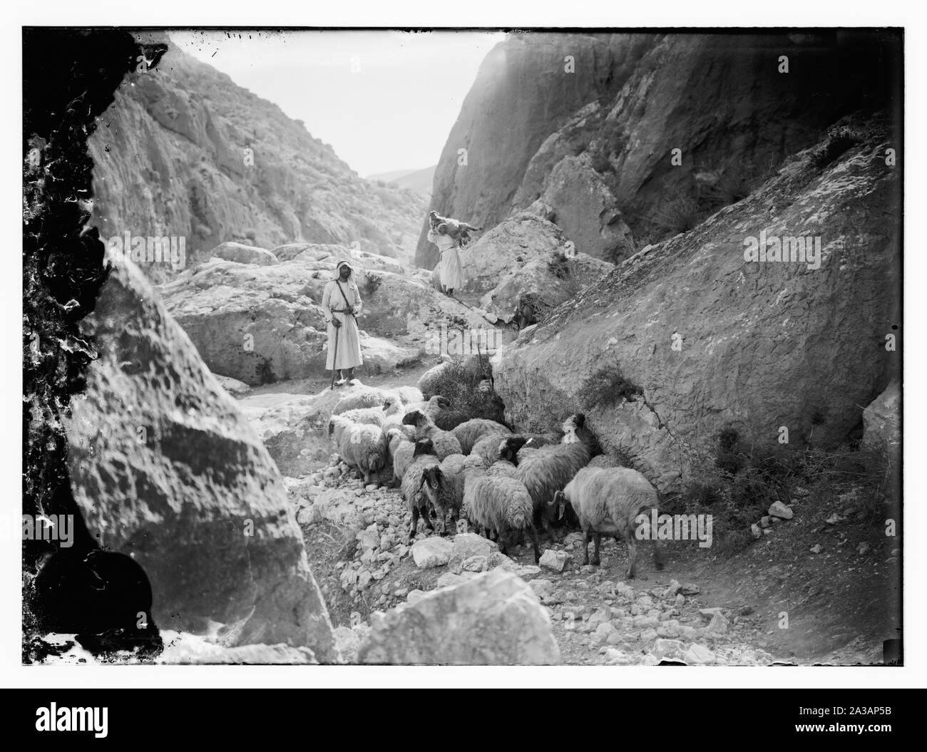 Serie di tredici selezionare diapositive di pastore vita, illustrante le venti terzo salmo. Sicuramente la bontà e la misericordia Foto Stock