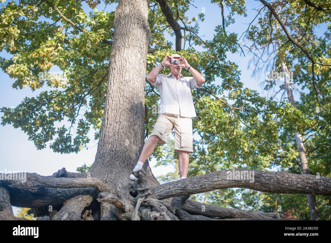Uomo che indossa pantaloni corti e t-shirt prendendo foto di Parco Foto Stock