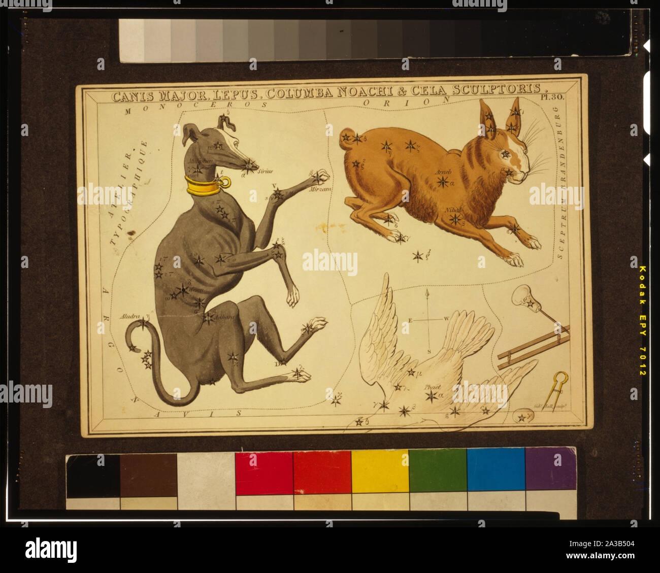 Canis Major, Lepus Columba Noachi & Cela Sculptoris, piastra 30 in specchio di Urania, un set di carte celesti accompagnati da un familiare trattato di astronomia ... da Giosafat Aspin. Londra. Diagramma astronomico, 1 stampa su carta stratificata pensione : incisione, colorate a mano.; Foto Stock