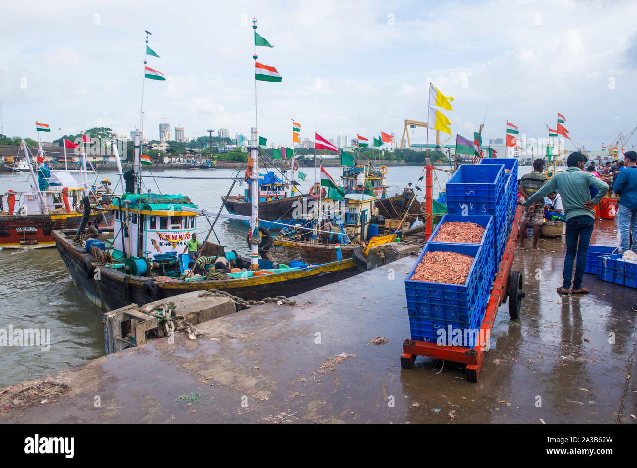 Persone indiane che lavorano a Sassoon Docks a Mumbai India Foto Stock