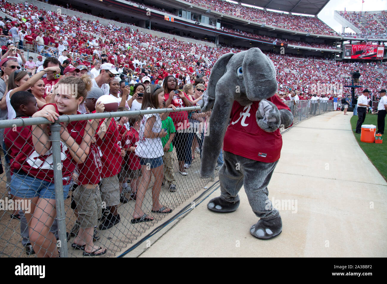 Dal 1930, Big Al, l'Alabama Crimson Tide di calcio mascotte del team ha allietato la squadra alla vittoria presso la University of Alabama, Tuscaloosa, Alabama Foto Stock