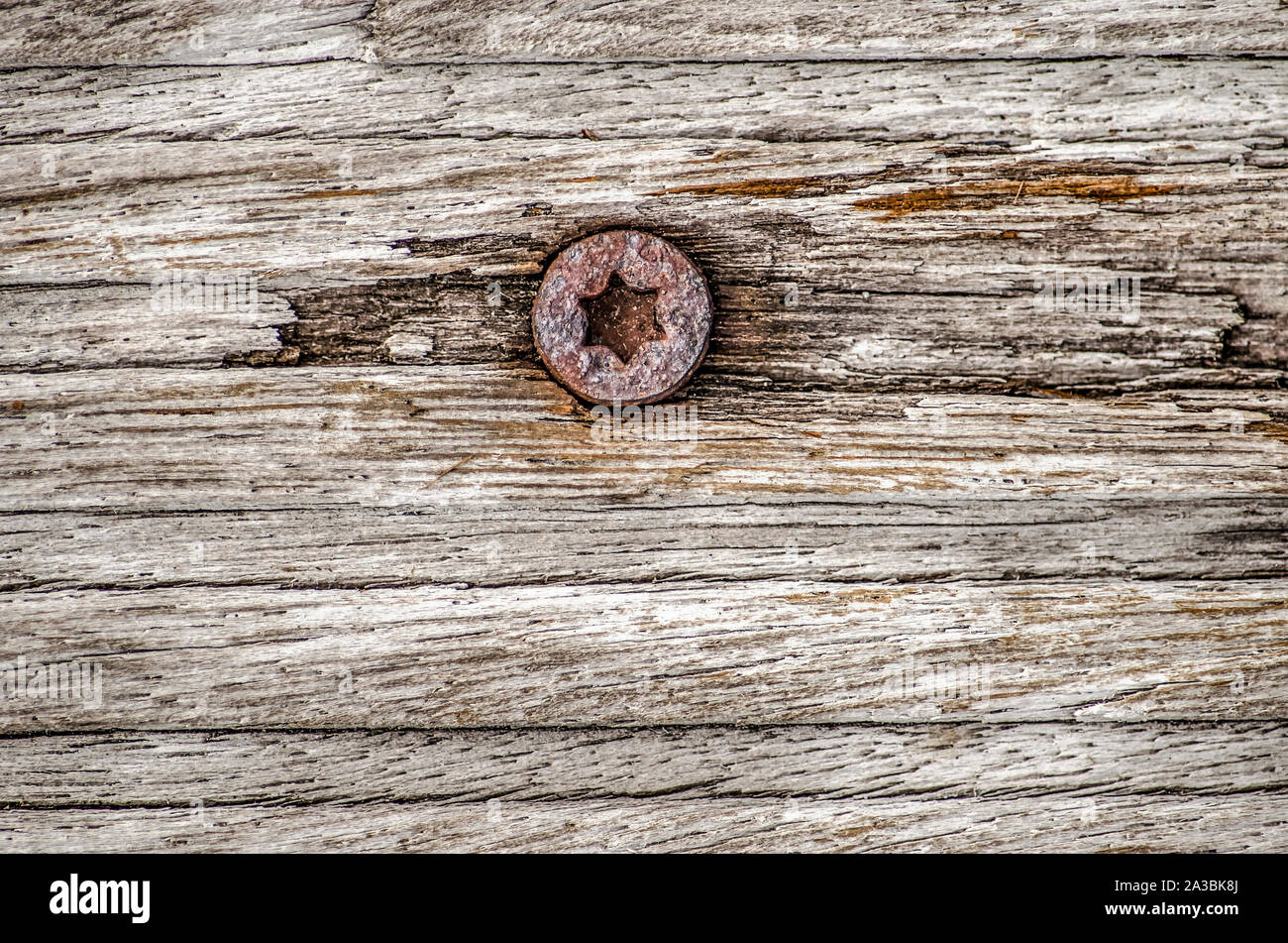 Close-up di un grigio, weathered superficie di legno con una vite con una a sei punti foro starshaped Foto Stock