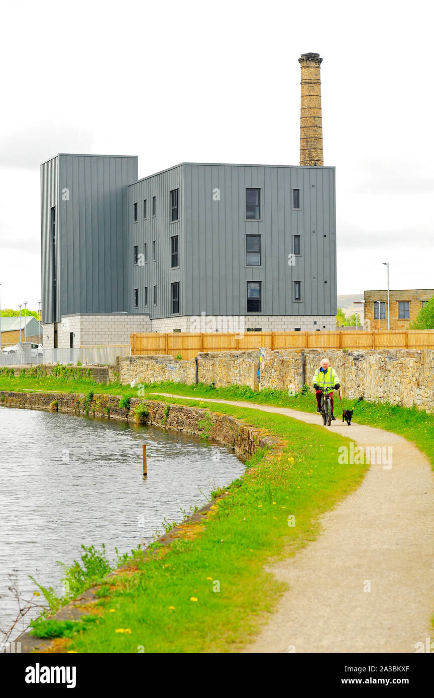 L'uomo con il cane escursioni in bicicletta lungo le rive del Leeds Liverpool Canal di fronte Bridgewalk Appartamenti a Burnley,Lancashire, Regno Unito Foto Stock