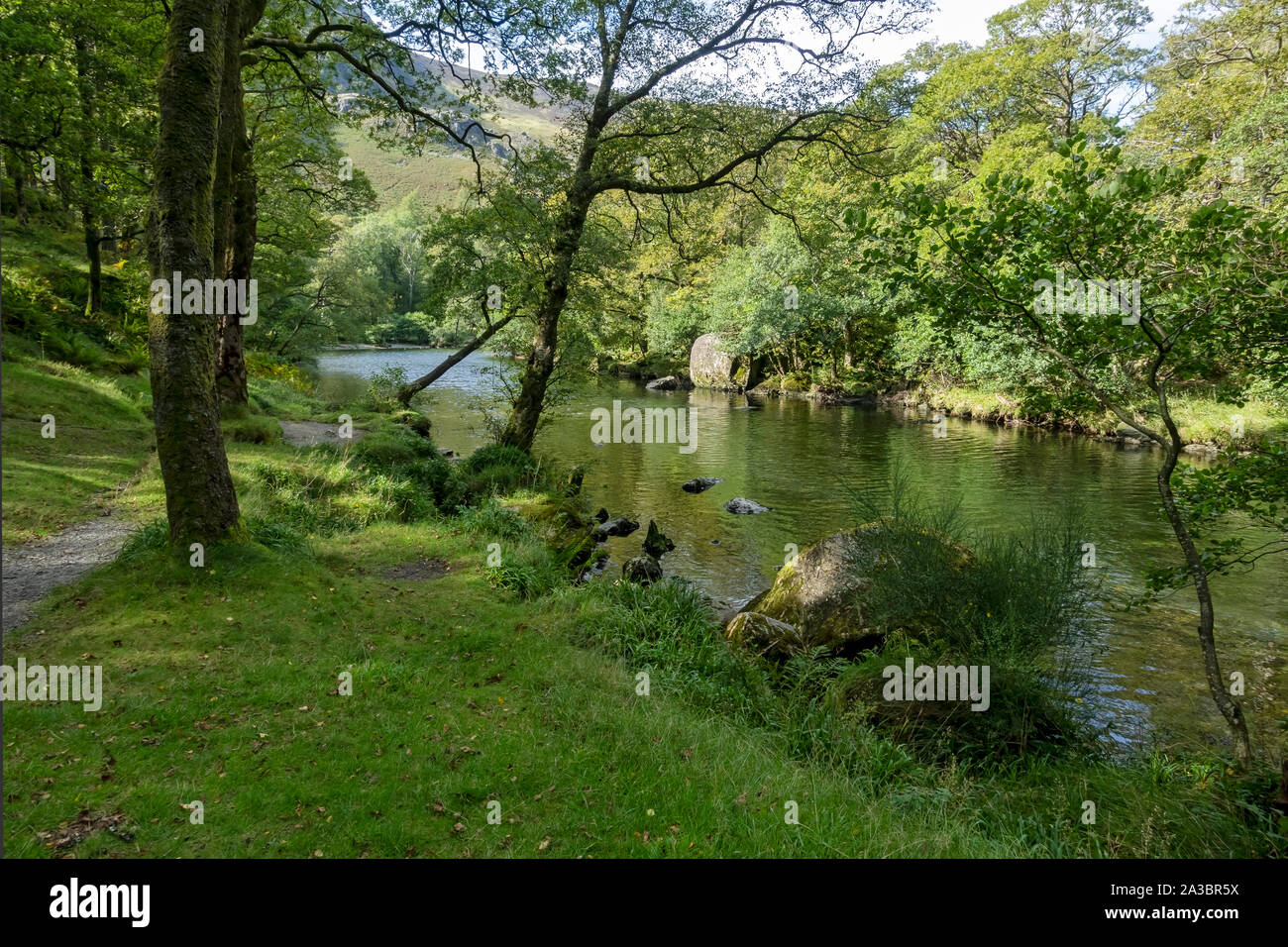 Cumbria Way passeggiata a piedi accanto al fiume Derwent vicino Grange Borrowdale Lake District National Park Cumbria Inghilterra Regno Unito Gran Bretagna Foto Stock