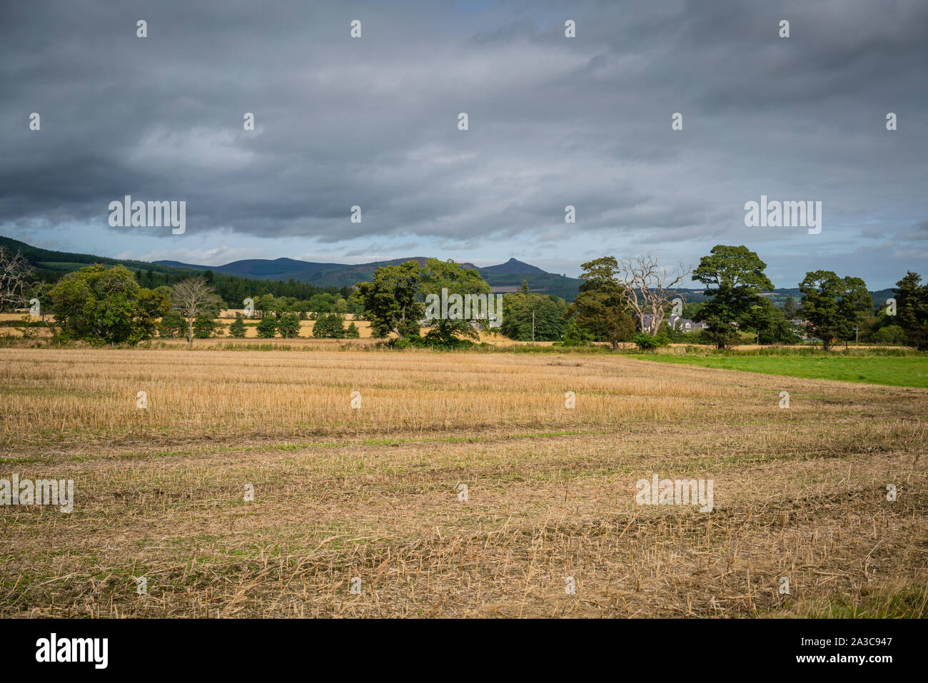 Bennachie, Aberdeenshire, Scozia Foto Stock