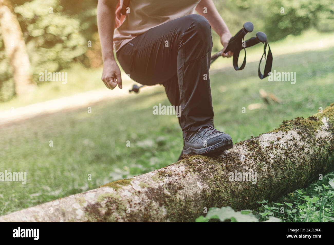 Escursionismo calzatura trekking nei boschi, il fuoco selettivo della femmina piedi degli escursionisti a piedi nella foresta Foto Stock