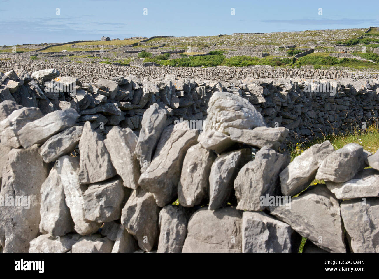 I muri in pietra Isole Aran Irlanda Foto Stock