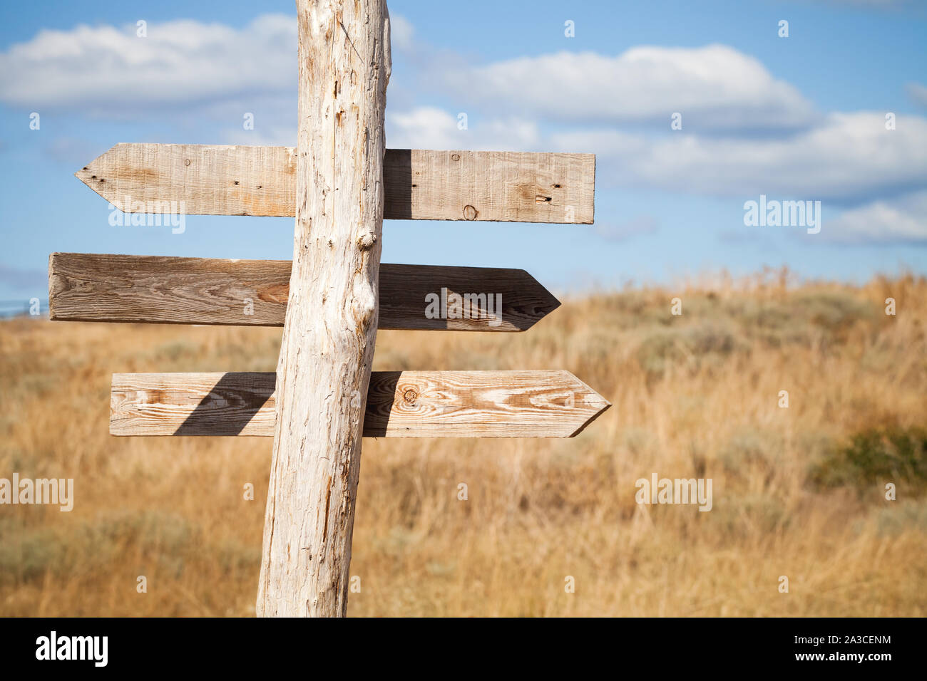 Vuoto guidepost di legno a forma di freccia tavole sopra il cielo blu e il prato estivo Foto Stock