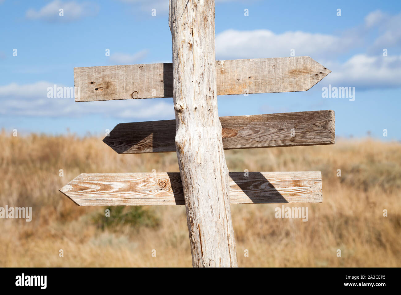Vuoto rurale guidepost di legno a forma di freccia tavole sopra il cielo blu e il prato estivo sullo sfondo Foto Stock