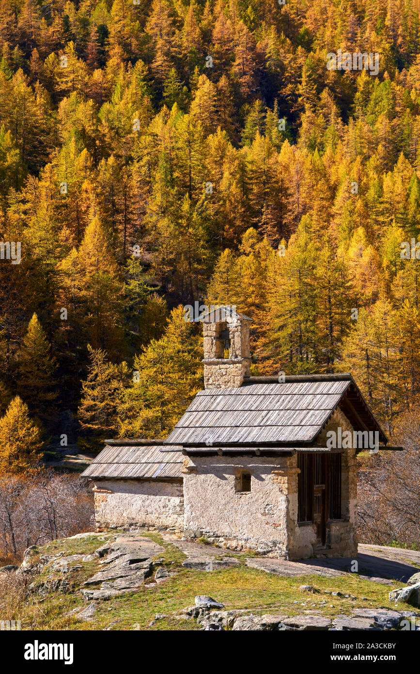 Sainte-Marie de Fontcouverte cappella in autunno con golden i larici. La Clarée, Névache, Hautes-Alpes, alpi, Francia Foto Stock