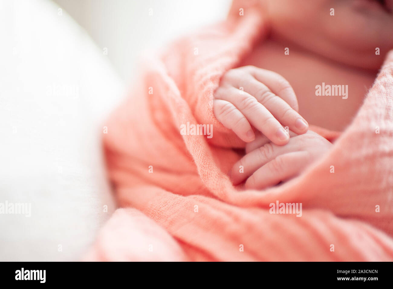 Close up del neonato ragazze mani avvolte in coperta rosa Foto Stock