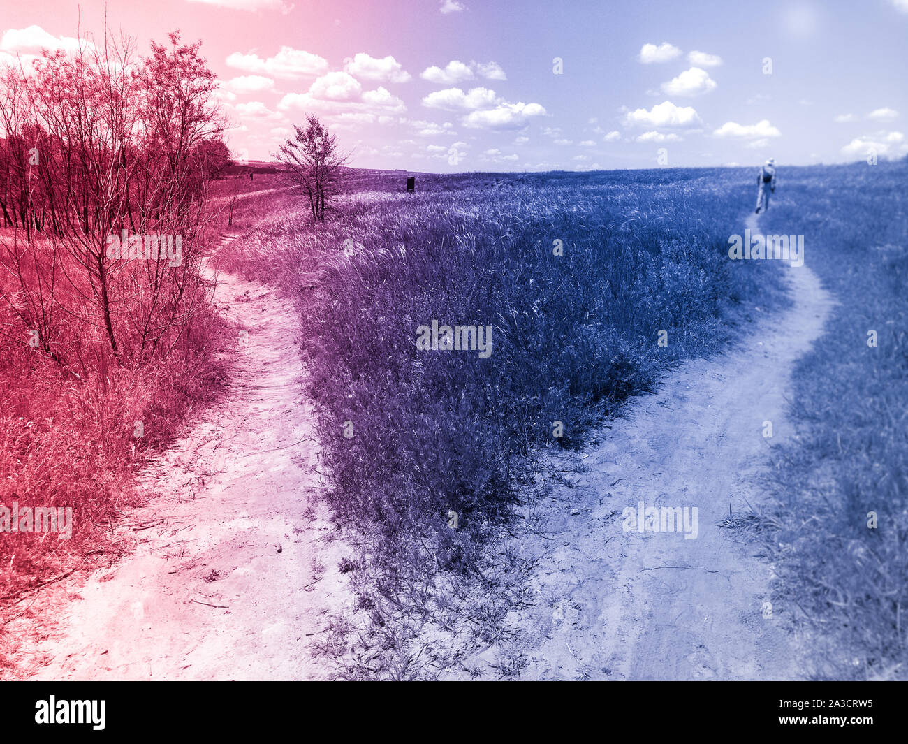 La forcella di un percorso in un due-campo colore. Due strade a destra e a sinistra per scegliere. Foto Stock
