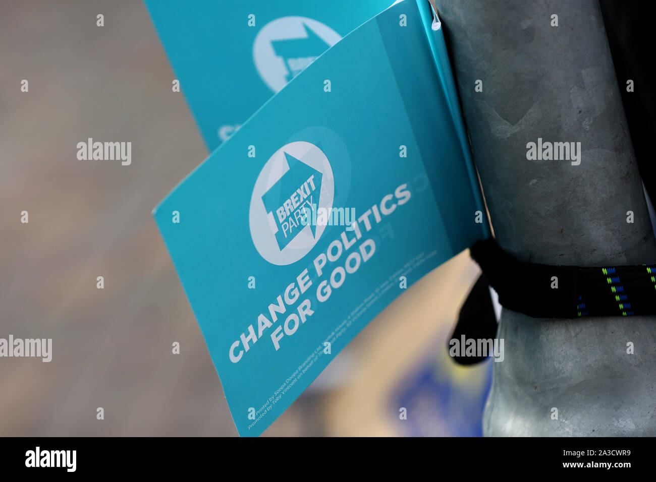 Partito Brexit e Pro UE bancarelle a Bognor Regis High Street, West Sussex, Regno Unito. Foto Stock