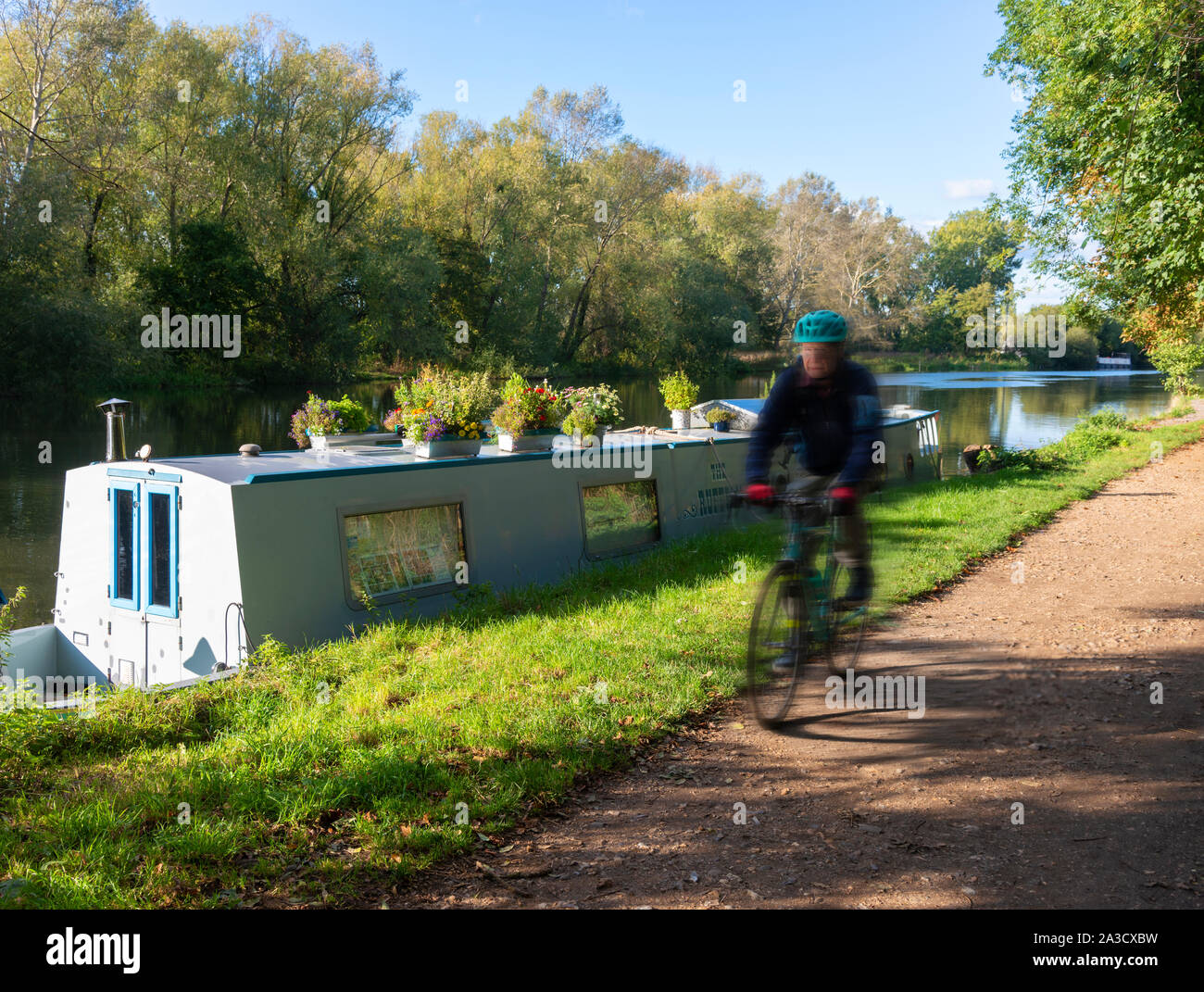 Uomo in bicicletta lungo il Tamigi percorso in corrispondenza di velocità, passando una barca stretta in un pomeriggio autunnale accanto al Fiume Tamigi a Sonning-Berkshire, England, Regno Unito Foto Stock