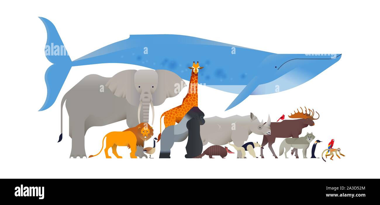 Collezione di animali isolati su sfondo bianco. Diversi animali selvatici flat cartoon per la fauna selvatica educativo design per bambini o in pericolo di estinzione di fauna progetto Illustrazione Vettoriale