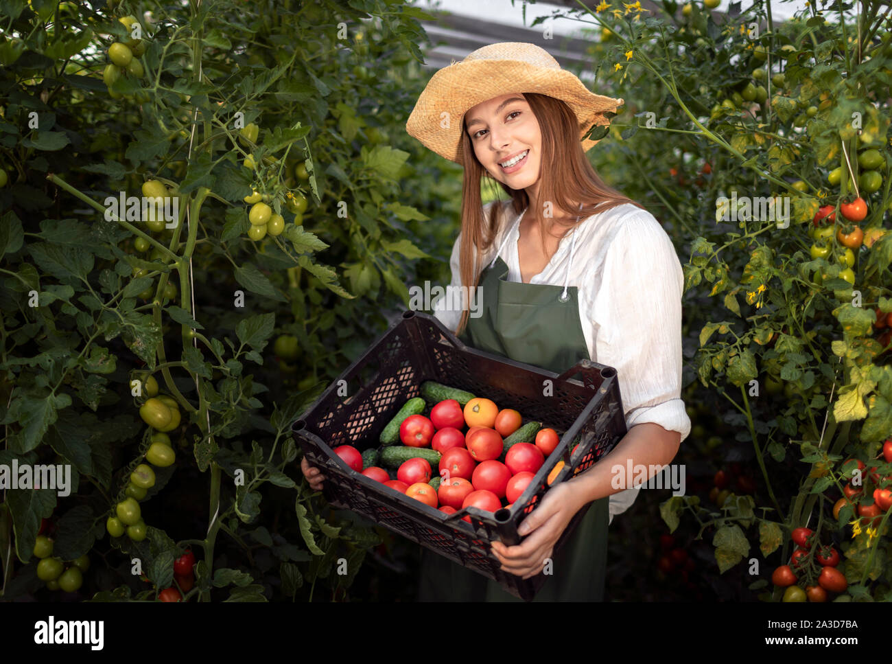 Donna in grembiule in posa di una serra con una scatola piena di pomodori e cetrioli Foto Stock