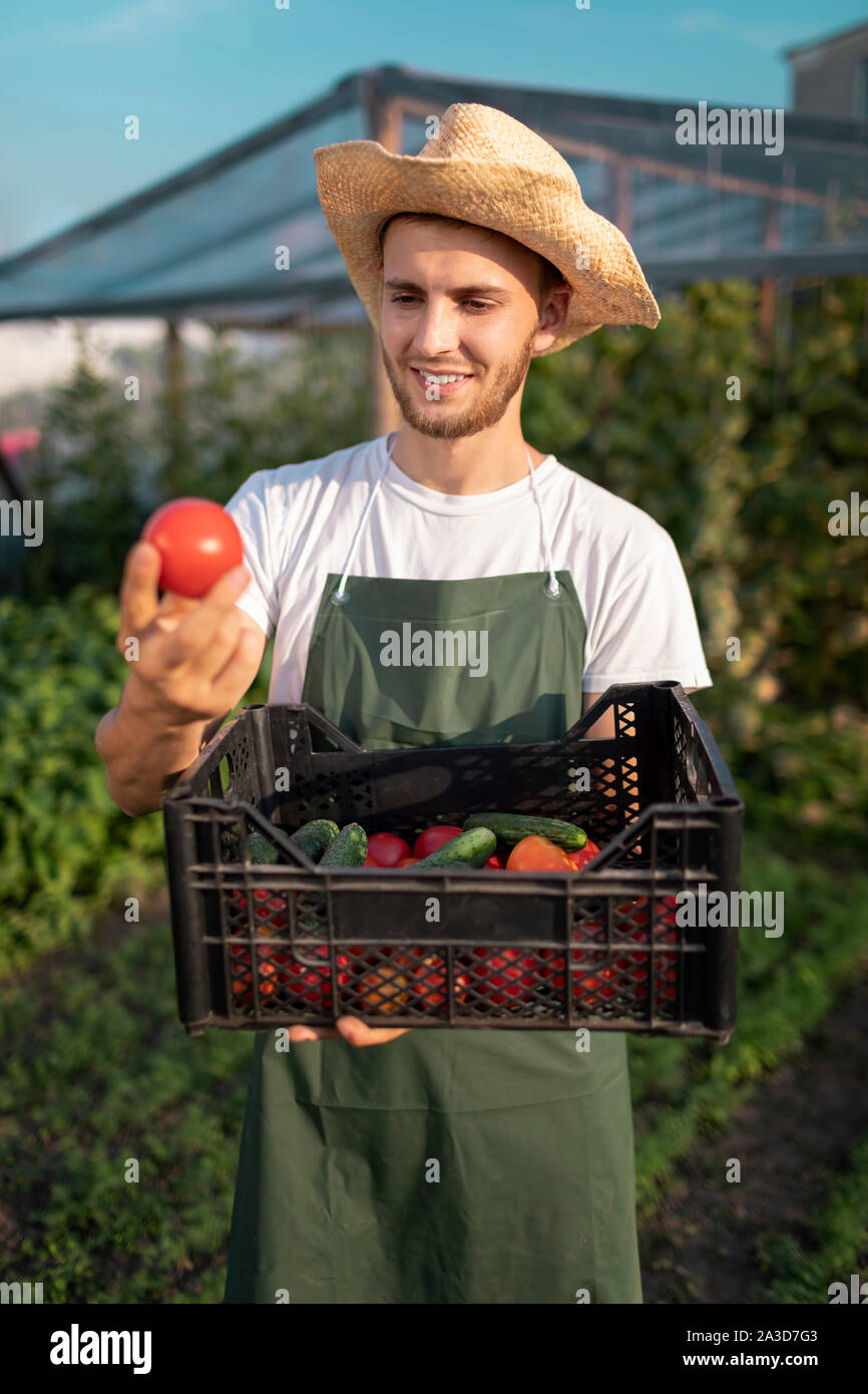 Bel giovane agricoltore barbuto stimare il suo primo raccolto di verdure di stagione Foto Stock