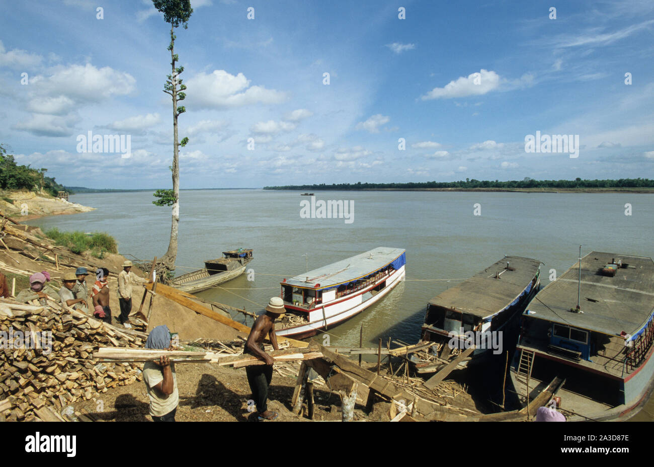 La Cambogia, il fiume Mekong, Kratie, la registrazione della foresta, il caricamento del legname sul fiume Mekong barche dalla rampa di scorrimento Foto Stock