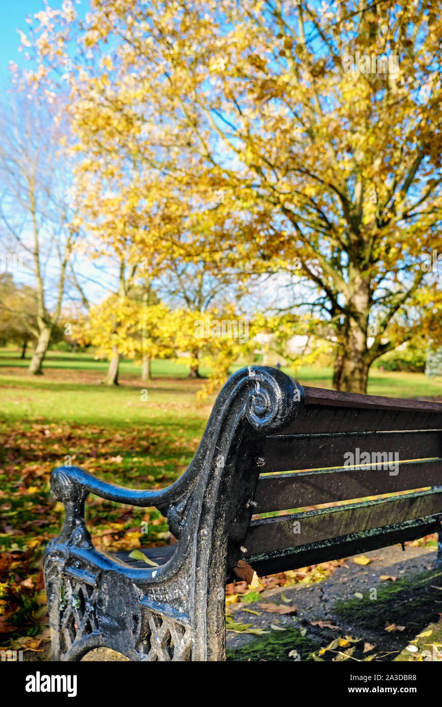 Il retro di un vuoto di una panchina nel parco con autunno alberi colorati in background contro un cielo blu, Stonegrove Park, Edgware, a nord-ovest di Londra. Foto Stock
