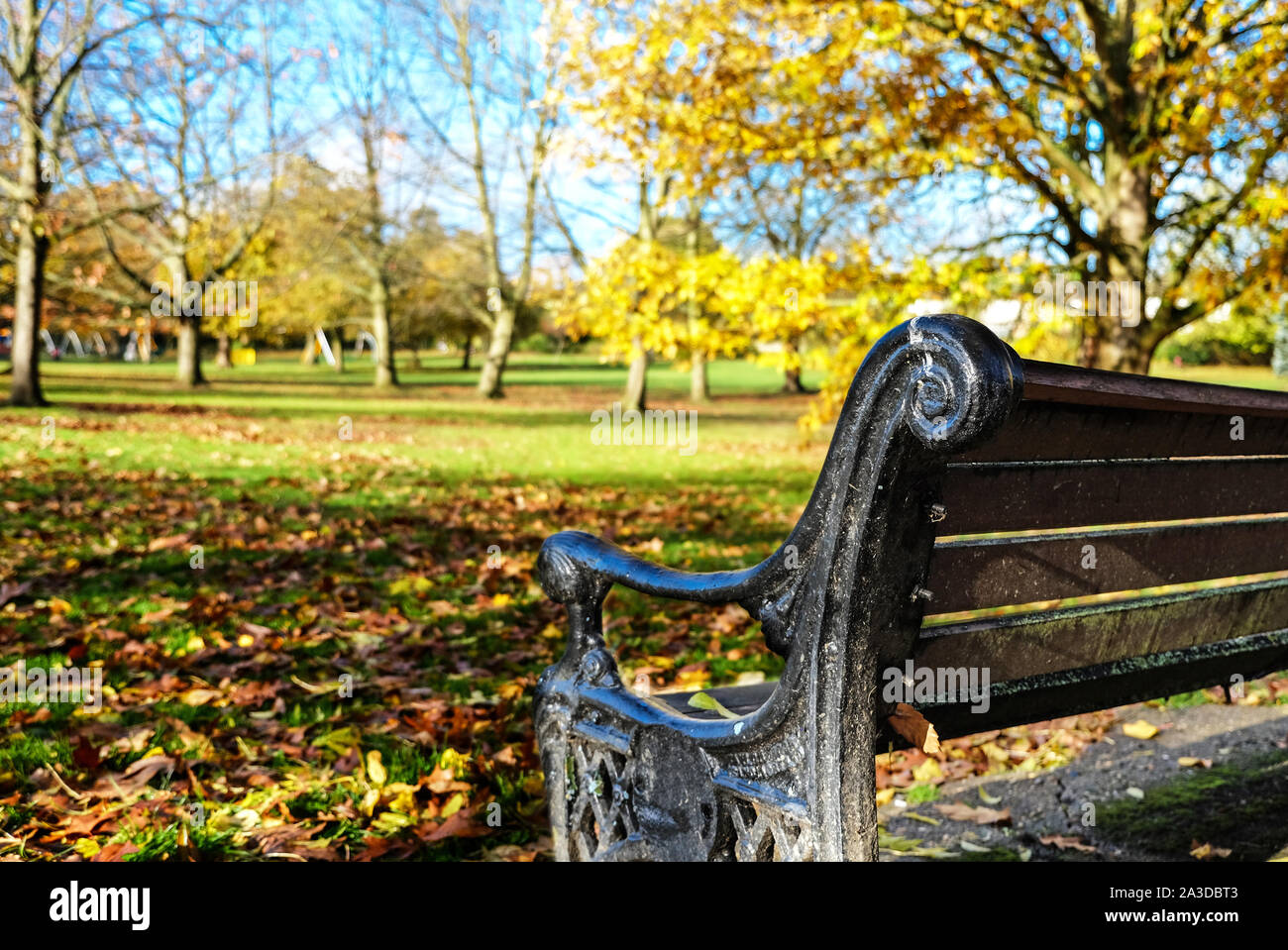Close-up del retro di un vuoto di una panchina nel parco con autunno alberi colorati in background contro un cielo blu, Stonegrove Park, Edgware, Londra NW. Foto Stock