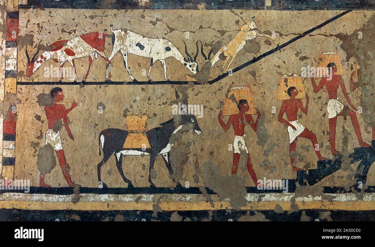 Ancient egypt workers immagini e fotografie stock ad alta risoluzione -  Alamy