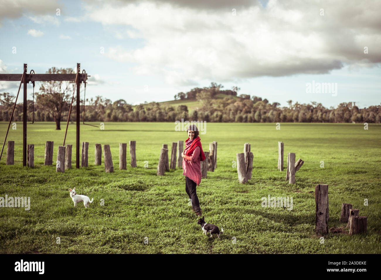 Giovane donna cammina con due cani di piccola taglia attraverso green farm land Foto Stock