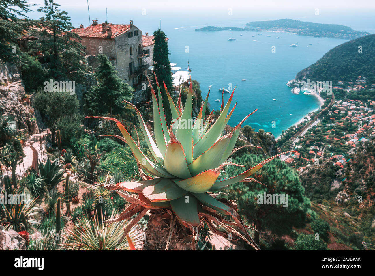 "Bella vista sul Mar Mediterraneo con la messa a fuoco su un Aloe Vera sullo stelo nel giardino botanico del villaggio medievale di Eze in Francia Foto Stock