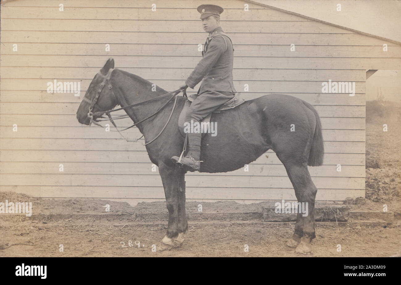Vendemmia inizio xx secolo Cartolina fotografica che mostra una montato esercito britannico soldato e il suo cavallo. Foto Stock