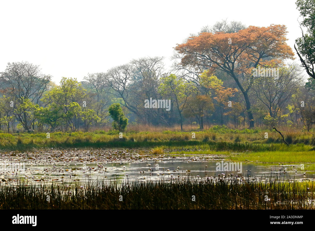 Lago nel Parco Nazionale di Kafue. Zambia Foto Stock