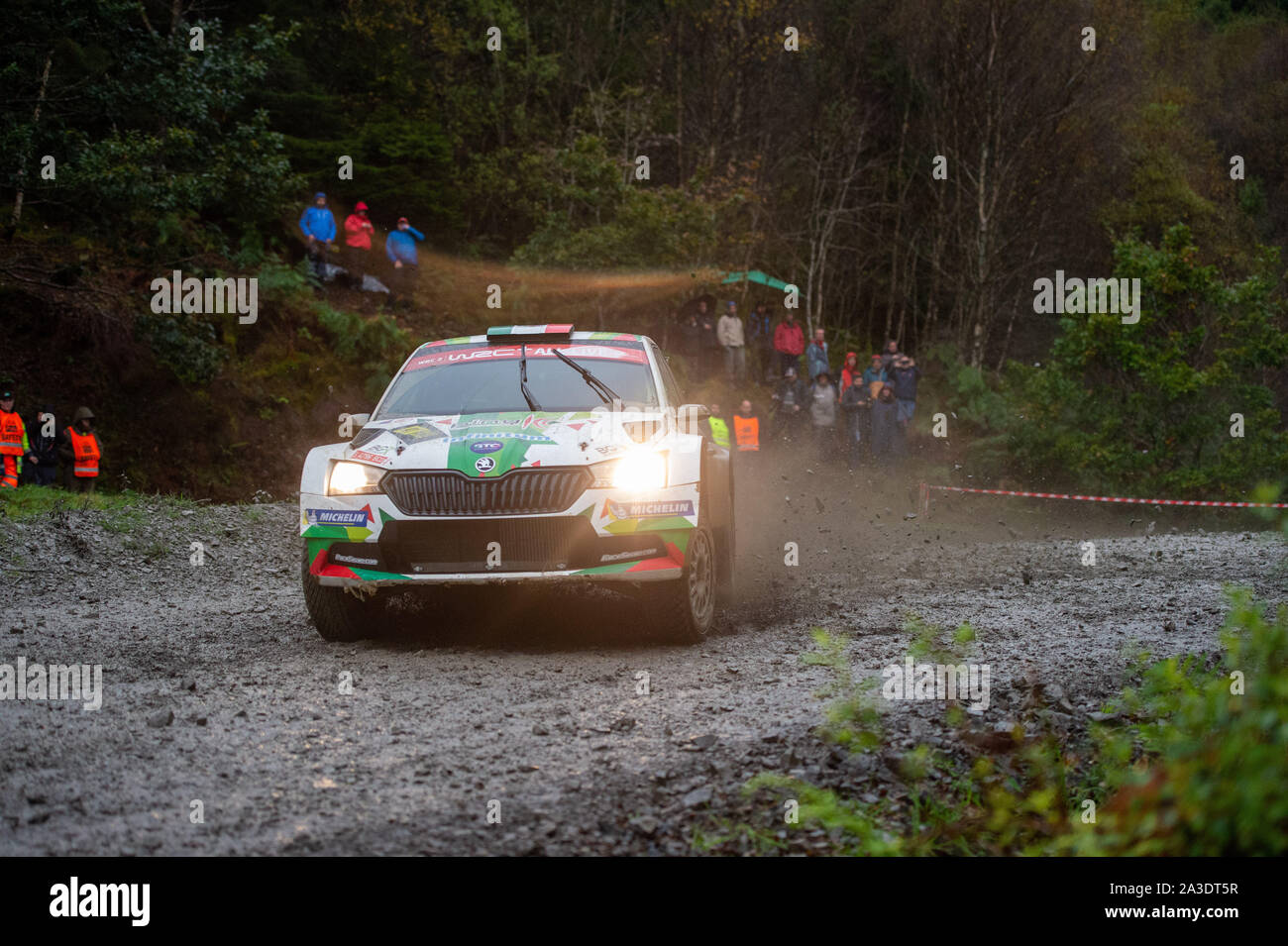 5 ottobre 2019, il Galles ; Dyfi, Rally Galles GB 2019 Stadio 16 : Benito GUERRA & Co conducente Jaime Zapata competere nel la Skoda Fabia R5 Evo prende la sinistra di spazzamento hander nella foresta Dyfi Credito: Gareth Dalley/news immagini Foto Stock