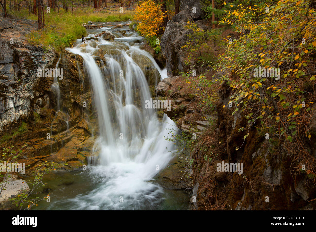 Ricade su di Paulina Creek a McKay attraversando campeggio, Deschutes National Forest, Oregon Foto Stock