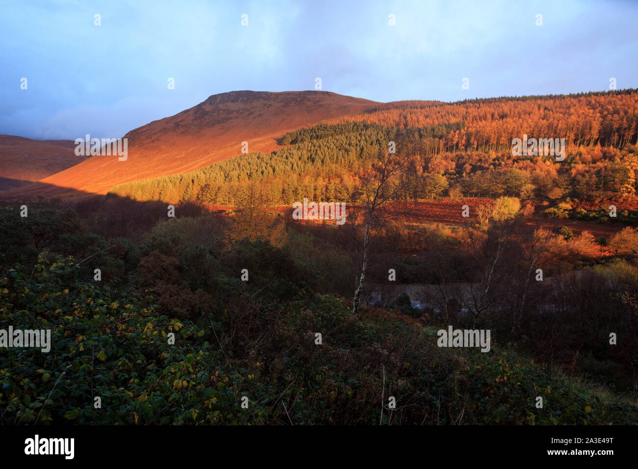 I colori autunnali nelle Highlands di Glen Rosa a Isle of Arran, Scozia. Foto Stock