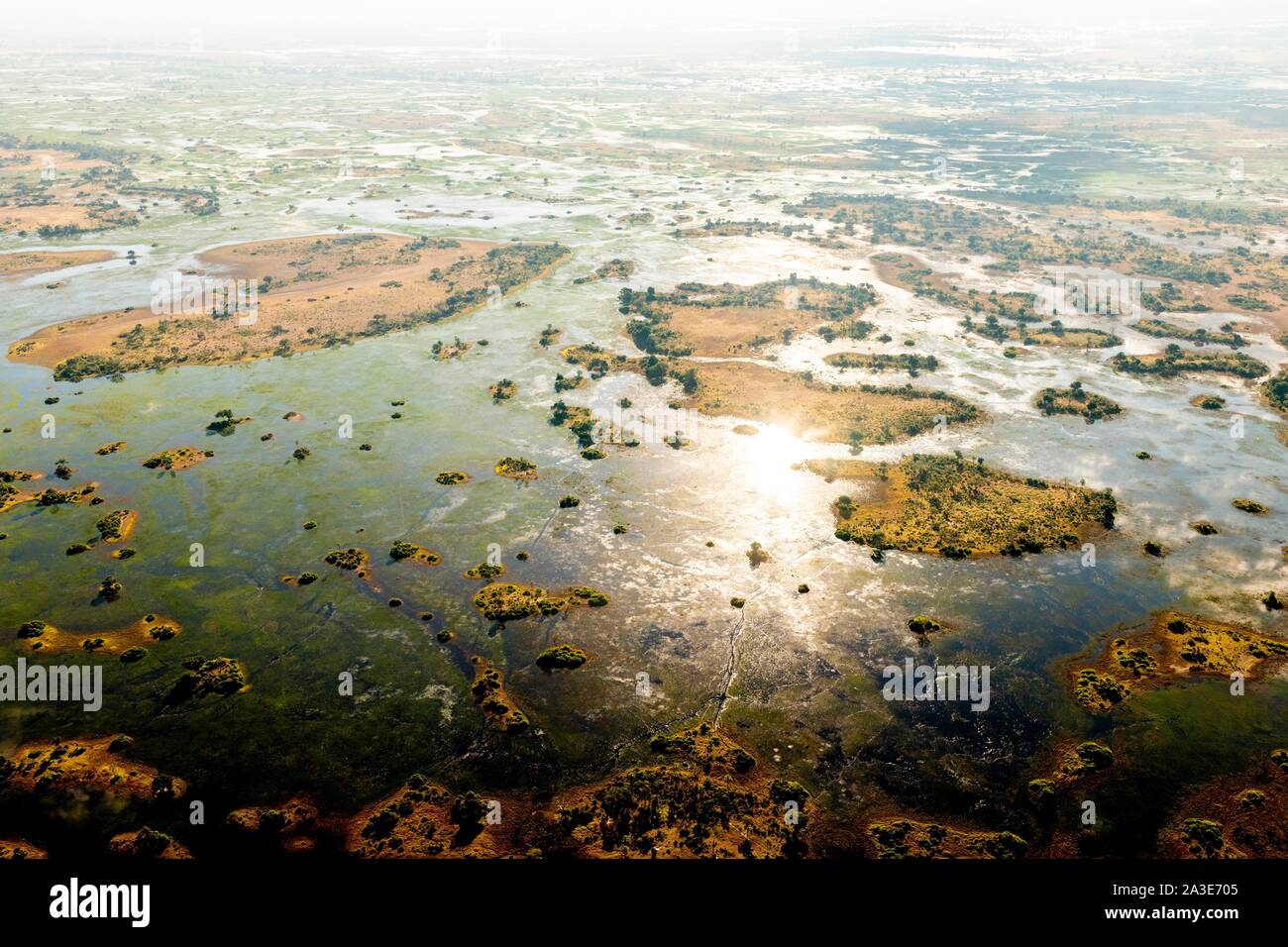 Vista aerea, area di palude, Okavango Delta, Botswana Foto Stock