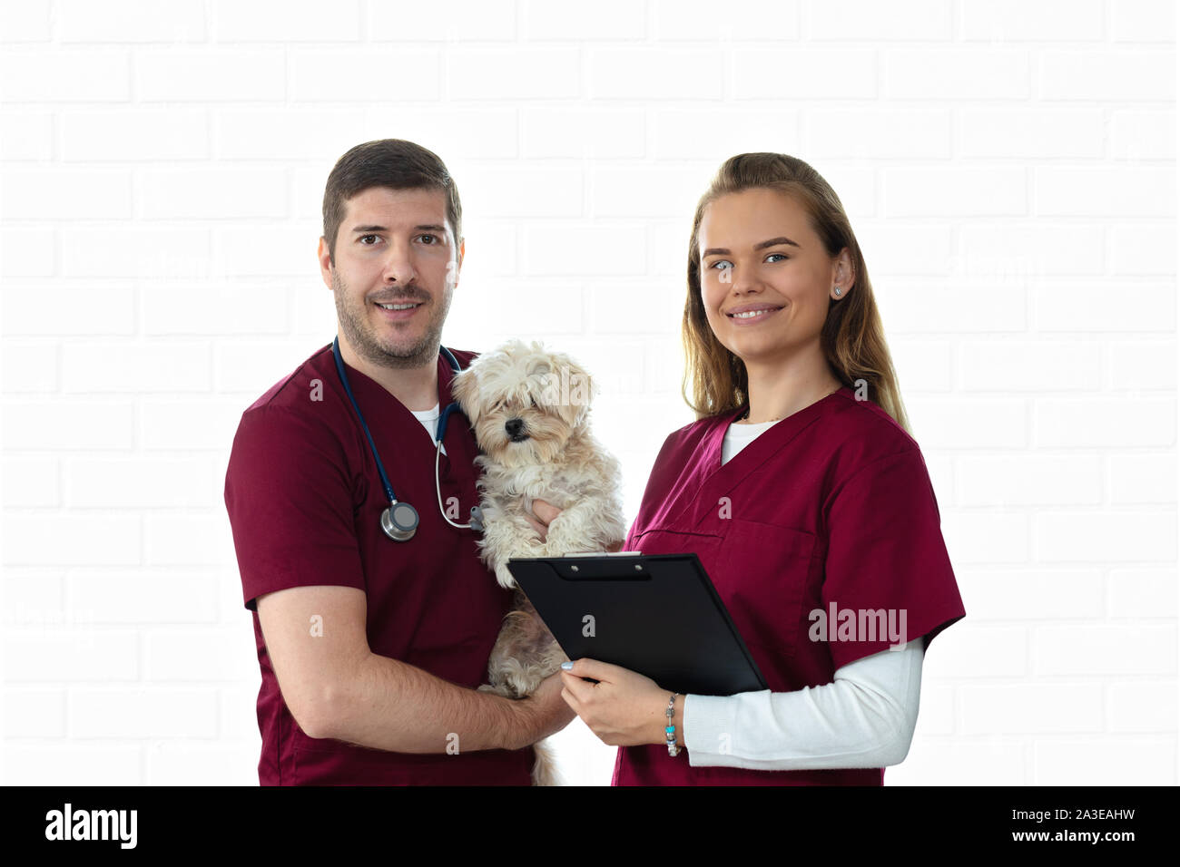 Allegro vet e sorridente infermiere azienda piccolo cucciolo di cane in clinica veterinaria Foto Stock