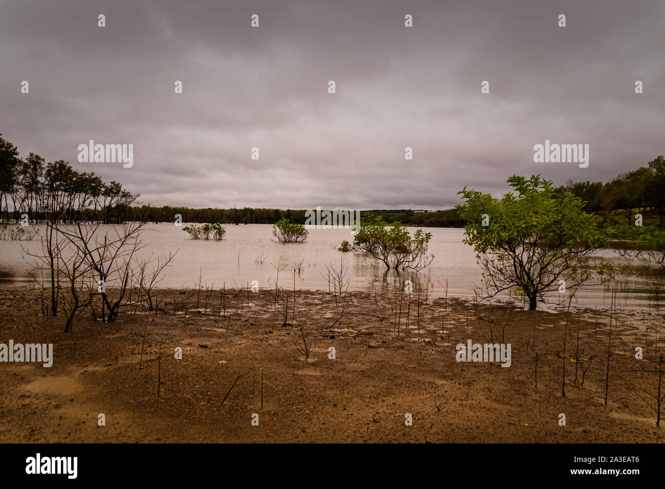 Un tetro, drammatica,, piovosa giornata autunnale presso Clear Creek si trova in Hulbert, Oklahoma 2019 Foto Stock