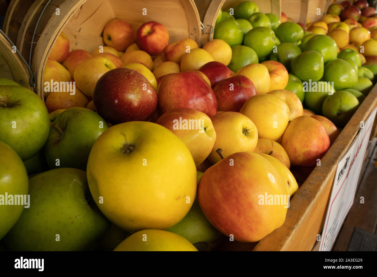 Bushel di verde, rosso e giallo le mele dal raccolto autunnale. Foto Stock