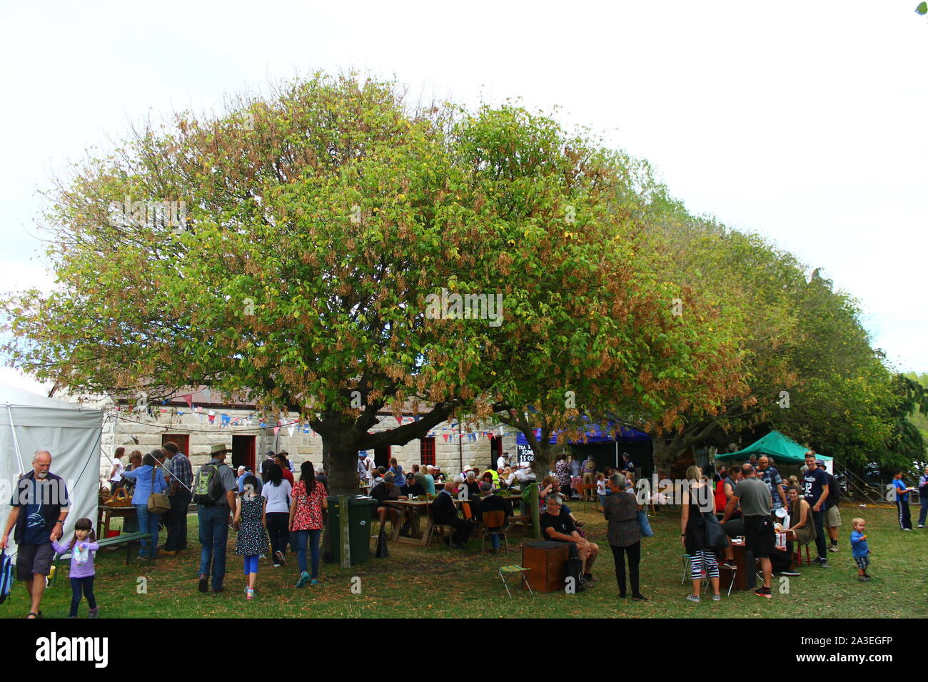 Riunione di famiglia Foto Stock