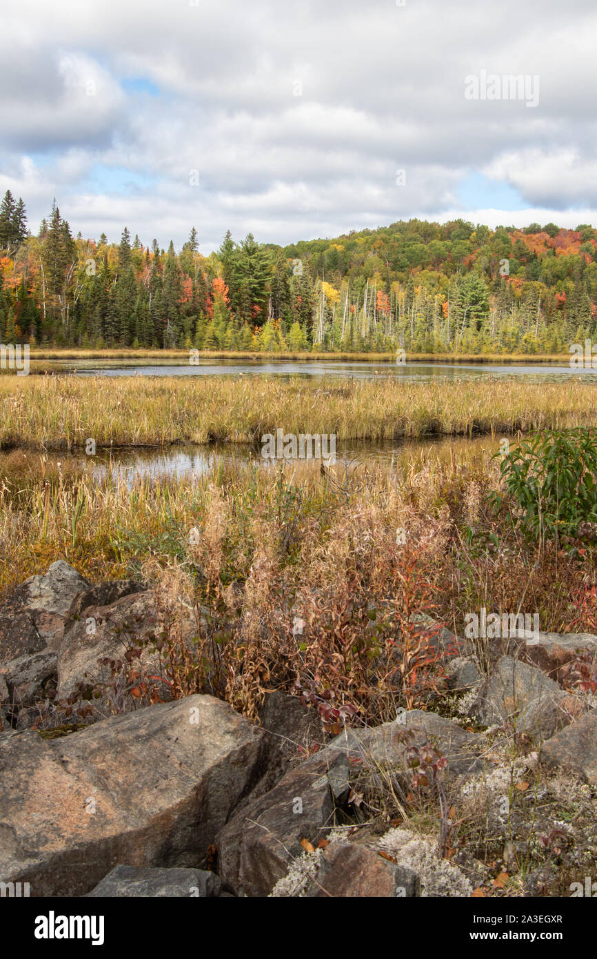 Grandi rocce e vegetazione con fogliame di autunno nella foresta lontana in Algonquin Park Foto Stock