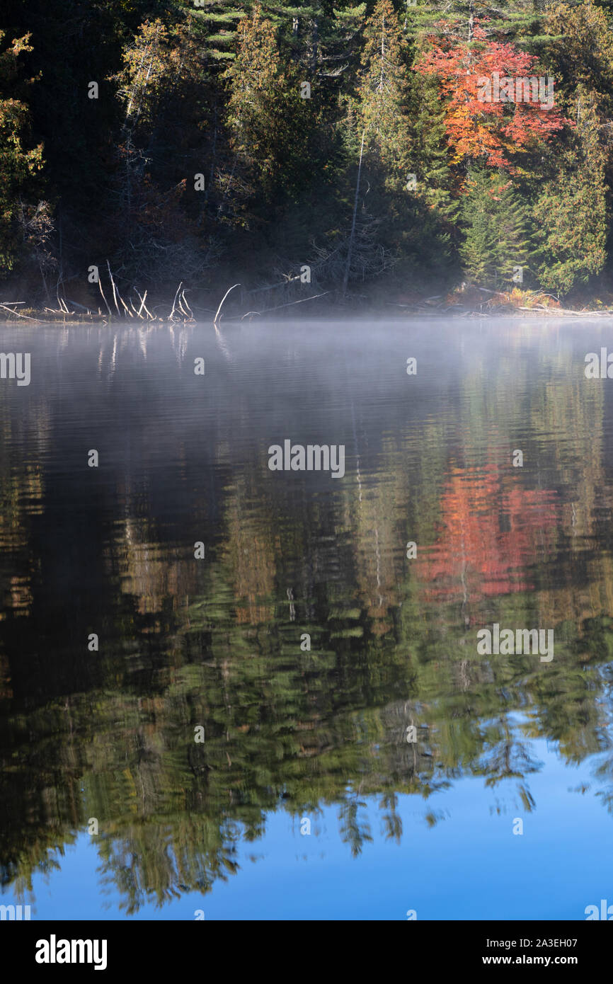 I colori autunnali nella foresta riflettente nel fiume calmo attraverso la nebbia di mattina Foto Stock