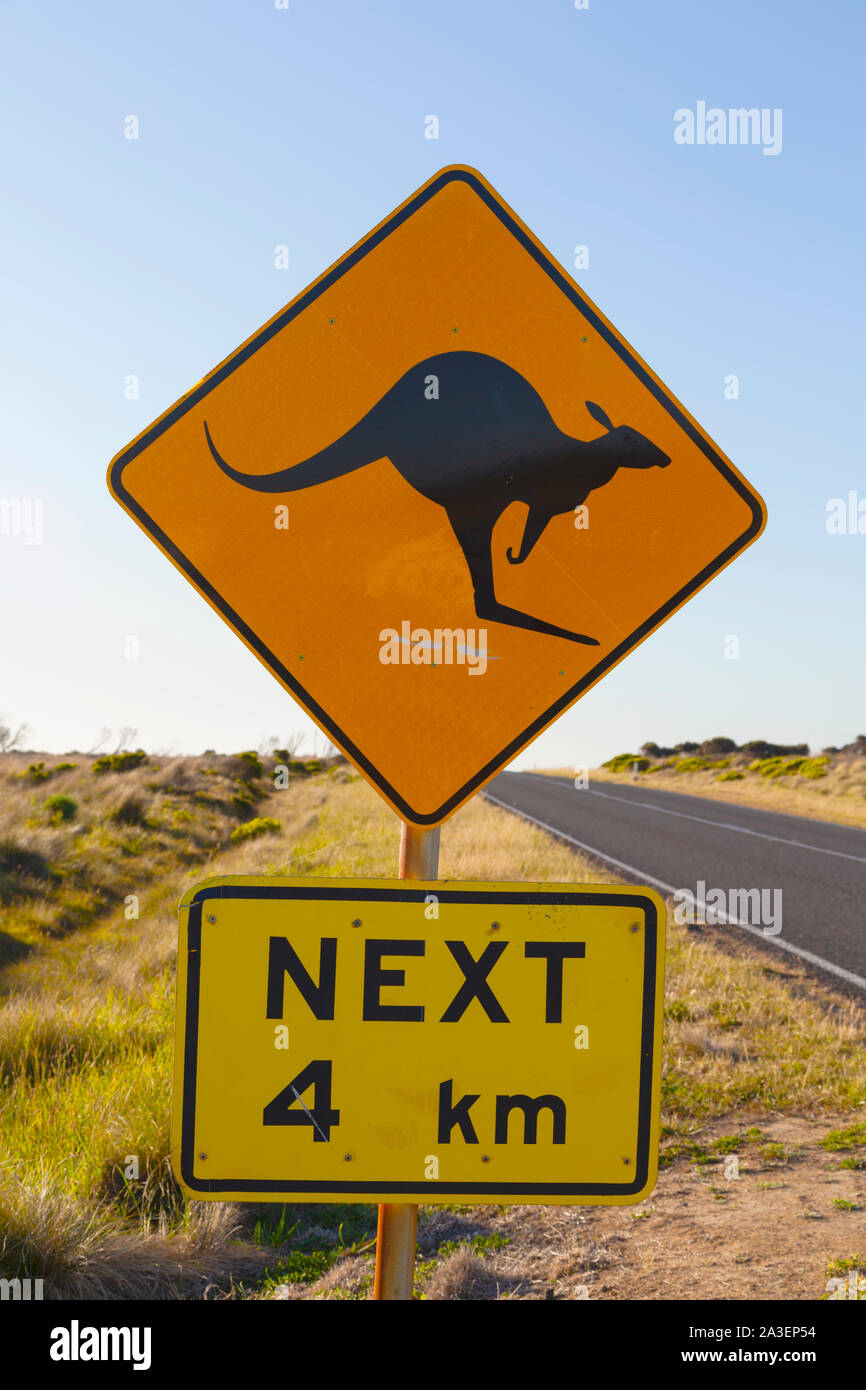 Segno accanto alla strada nel parco nazionale di Port Campbell, avvertimento che i canguri possono essere incontrati. Great Ocean Road, Victoria, Australia. Foto Stock