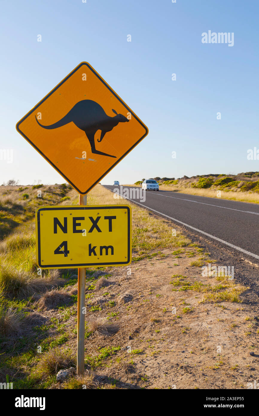 Segno accanto alla strada nel parco nazionale di Port Campbell, avvertimento che i canguri possono essere incontrati. Great Ocean Road, Victoria, Australia. Foto Stock