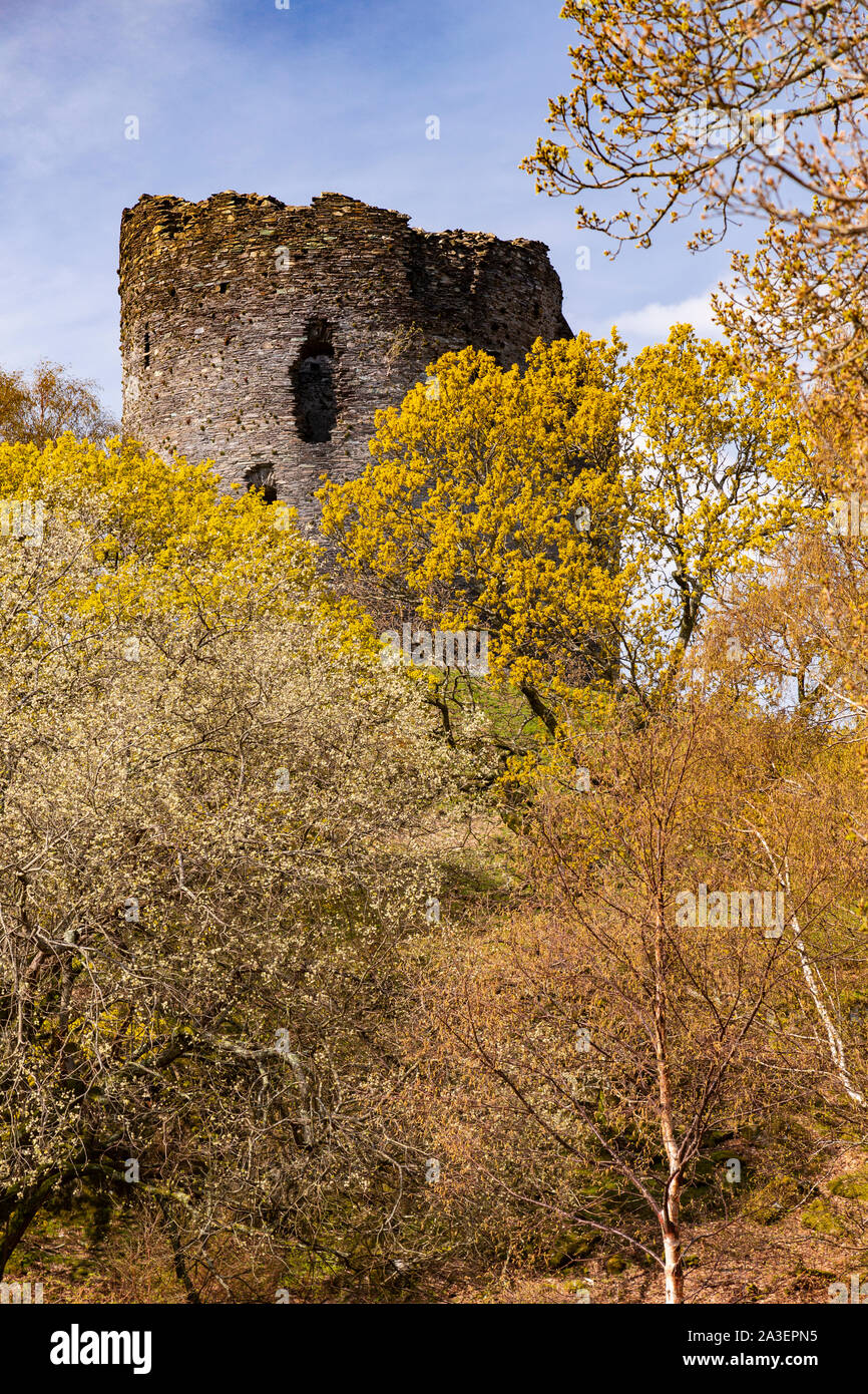 Dolbadarn Castle a Llanberis, Snowdonia, il Galles del Nord Foto Stock