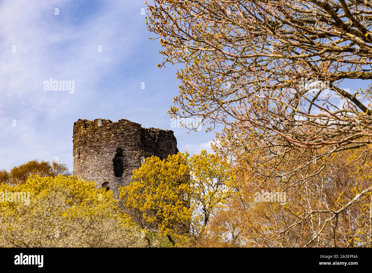 Dolbadarn Castle a Llanberis, Snowdonia, il Galles del Nord Foto Stock