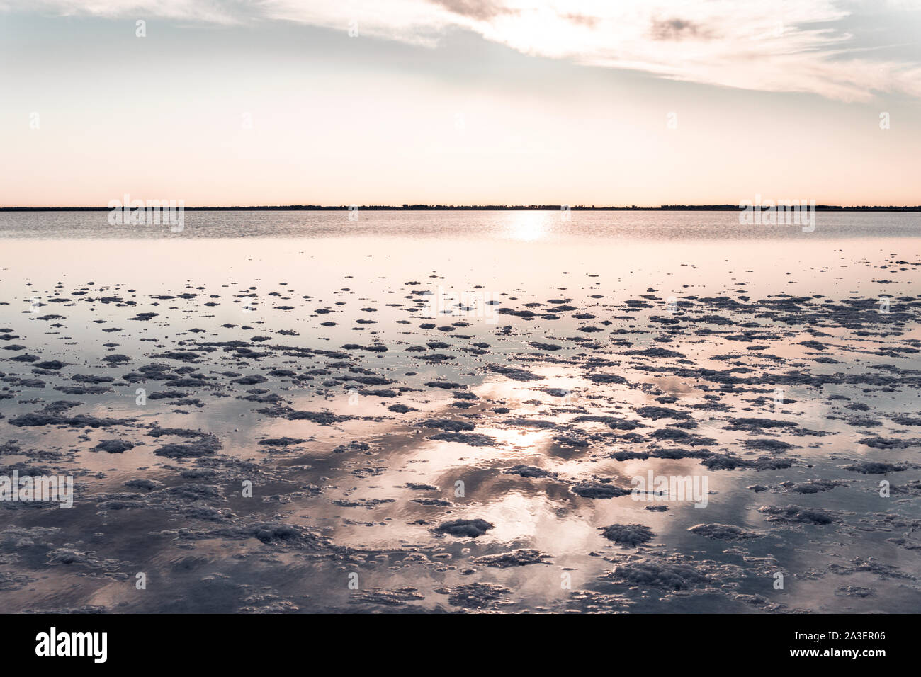 Il lago rosa. Acqua pura. Sale a fondo. Foto Stock