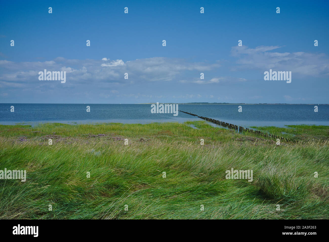 Vista sulla costa e sul mare del Nord vicino Dornumer Siel, Germania settentrionale, Frisia orientale Foto Stock