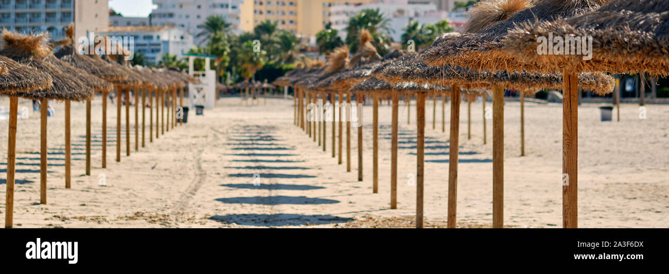 Ombrelloni di paglia in una fila sulla spiaggia di sabbia di Palma Nova distretto di Maiorca località turistica, isole Baleari, Spagna. Immagine panoramica Foto Stock