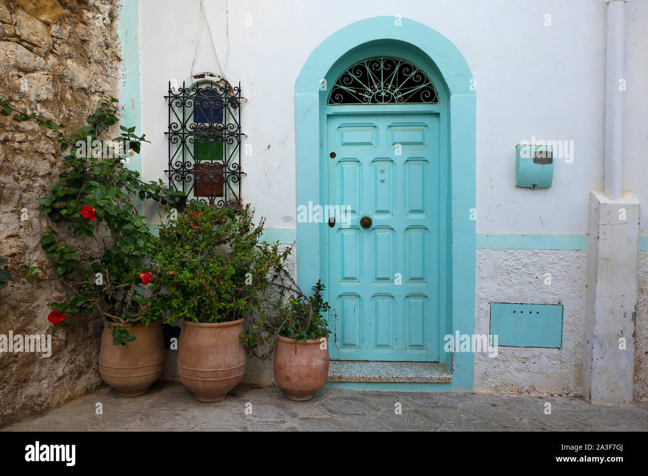 Facciata di una casa tradizionale con piante in vaso nella Medina di Asilah, Marocco Foto Stock