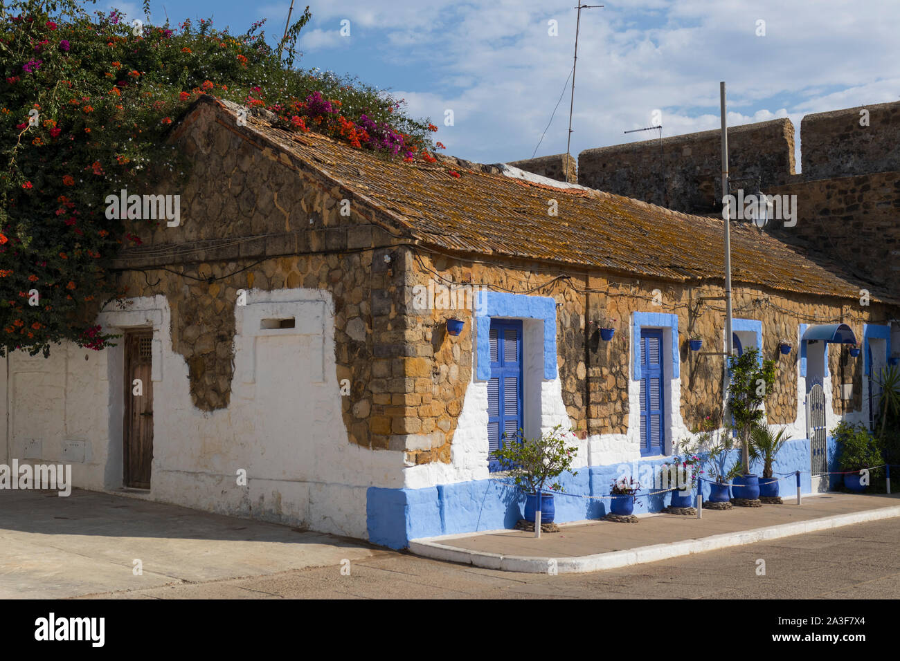 Facciata di una casa tradizionale con le piante in vaso e fioritura bougainville nella Medina di Asilah, Marocco Foto Stock
